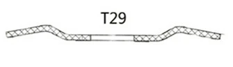 T29